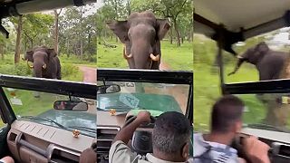 Títo turisti už pozorovať slony na safari asi nepôjdu