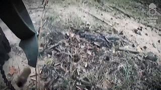 Čistenie domu od ruského moru