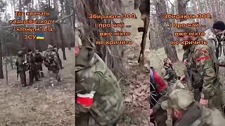 Kadyrove psy panikária v lese