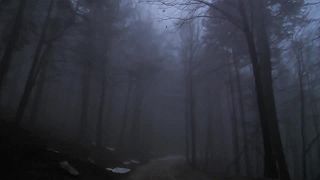 JODLEX, EILON - Don't Go