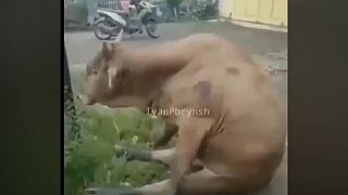 Nechaj moju slečnu na pokoji