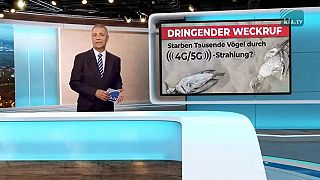 Naléhavá výzva k probuzení Zemřely tisíce ptáků kvůli 5G