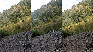 Dezertik v akcii