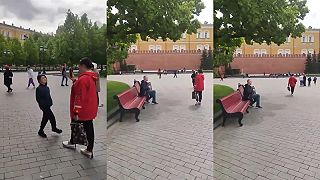 Červona kalina pri kremeľskom múre