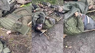 Dočisťovanie oslobodených miest od okupantov