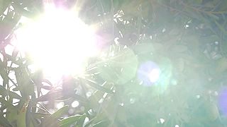 Fragma - Shine On