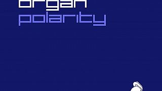 Corti Organ - Polarity
