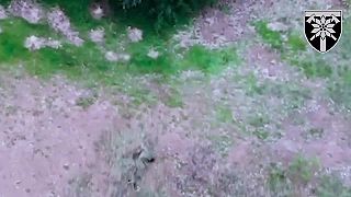 Útek pred dronom