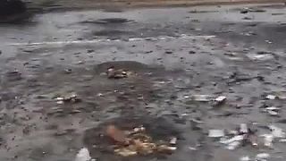 Zničený Ruský vojenský konvoj
