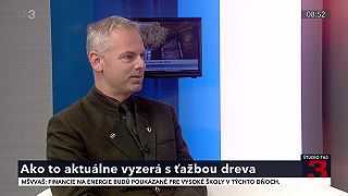 Ťažba dreva sa v dlhodobom trende zvyšuje. Prečo je nevyhnutná pre lesy?