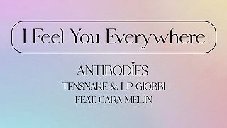 I Feel You Everywhere (Antibodies)