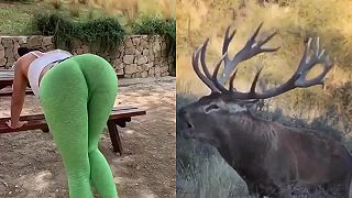 Správna forma pri rozcvičke