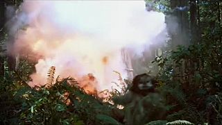 Star Wars_Episode VI - Main Theme - John Williams