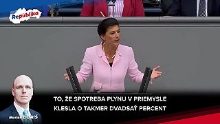 Nemecka politička v EP sa hnevá nad odstrihnutím sa od lacných ruských energií