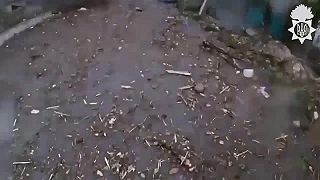 Ozbrojené sily Ukrajiny v panike.

