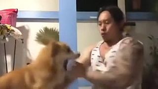 Pes - najlepší kung-fu trenažér
