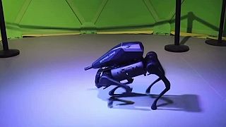 Turecká spoločnosť Sarsilmaz predstavila bojovú verziu robota SARBOT
