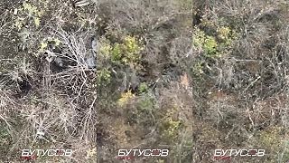 Ďalšie videjko od Ukrajinskej 30. Brigády ktorá zhadzuje granáty z dronu