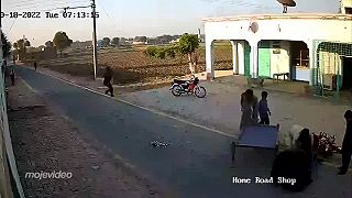 Páv sa pokúsil zabiť motorkára!