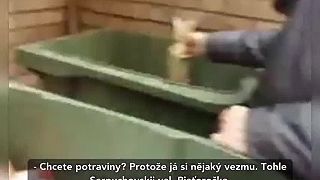 V Rusku Moskve je veľká chudoba. Ľudia hľadajú potraviny v odpadkoch