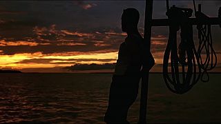 Forrest Gump - Feather Theme - Alan Silvestri