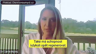 CUDZORODÝ SYSTÉM ZOTROČUJÚCI ĽUDSTVO A CESTA K SLOBODE