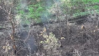 Zákopová depresia pokračuje