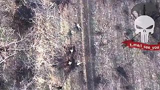 Prestrelka v zákopoch a Ruský dron