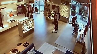 Jedného zlodeja luxusných kabeliek Louis Vuitton sa podarilo polícii dolapiť