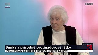 Bunka a prírodné protinádorové látky