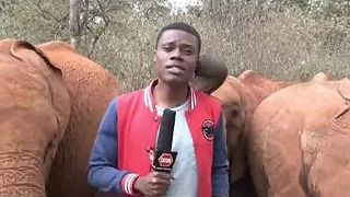Reportáž z rezervácie pre slony (Keňa)