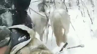 Ukrajinskí vojaci majú radosť zo snehu
