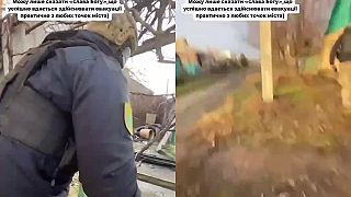 Niekto dostáva ocenenia ,a niekto slúži ako potrava pre delá