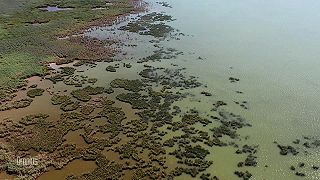 Vransko jezero (Vranské jazero) / Chorvátsko