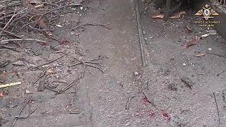 ?Vorošilovský okres Doneck utrpel ďalší štrajk MLRS GRAD
