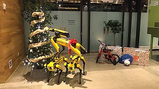 Spolok zdobičov vianočného stromčeku | Krásne sviatky od Boston Dynamics