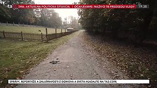 Zdravý les. Lesné cesty