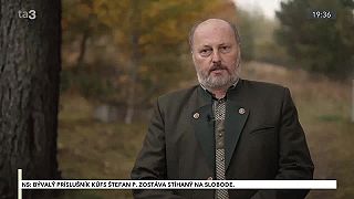 Zdravý les - úloha lesa zachytávanie uhlíka CO2