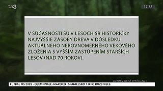 Zdravý les. Holiny v lesníctve