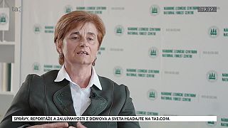 Zdravý les. Ekonomický význam lesníctva