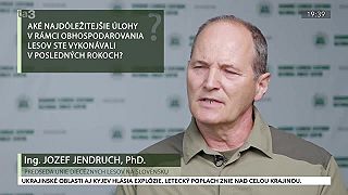 Zdravý les. Organizačná štruktúra lesného hospodárstva