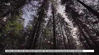 Zdravý les. Lesné semenárstvo, lesné škôlky, prirodzená a umelá obnova lesa