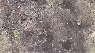 Z Ivana už asi atlét nebude