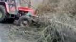 Zetor 8045 v lese