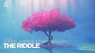 Ampris, Amfree & Chris Gallery – The Riddle