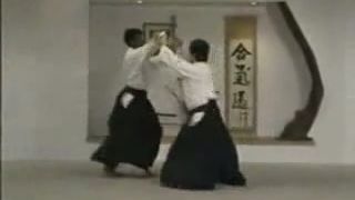 Ukážka japonského AIKIDA