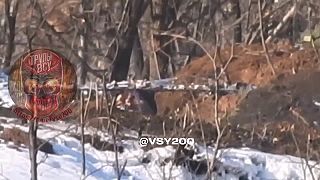 Ten už viackrát nevykukne