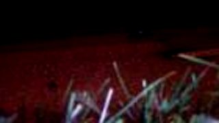 Vlko - Night Run