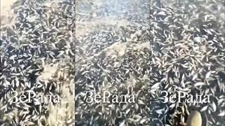 Zapad ma plne usta ekologie.