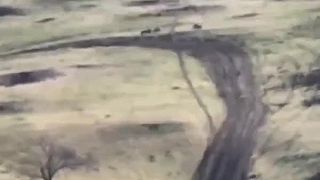Okupanti nacvičujú presun na otvorenom priestranstve